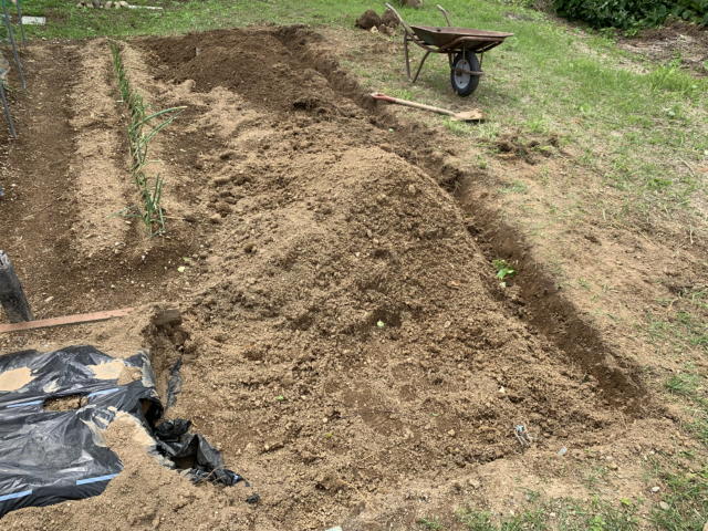 家庭菜園の土作り 小石の除去