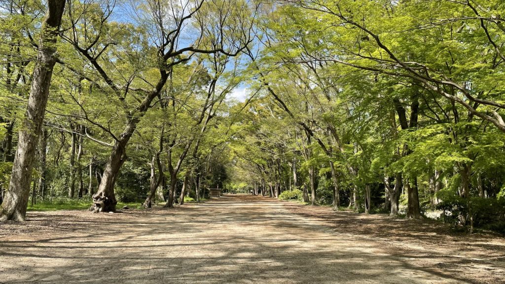 京都 下鴨神社 糺の森