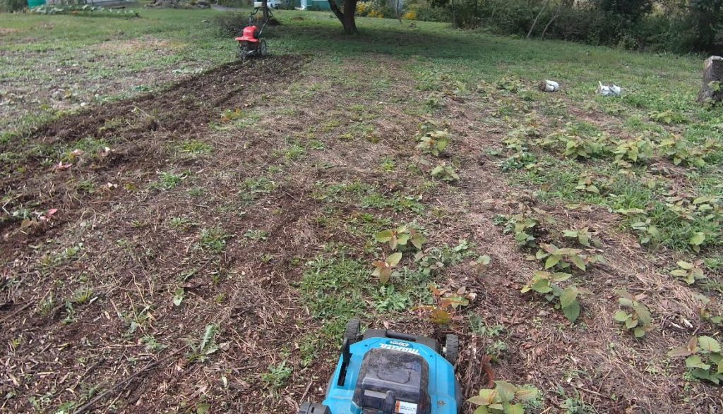 スパイラルローラー400 マキタ充電式芝刈り機 雑草刈り 比較